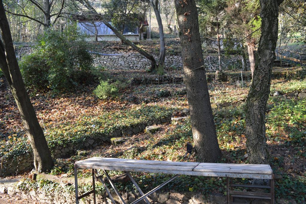 Casa Marta : Suites, Terrasses Et Vue Panoramique Tournon-sur-Rhone Dış mekan fotoğraf